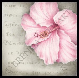 In The Pink - Hibiscus E-Tutorial